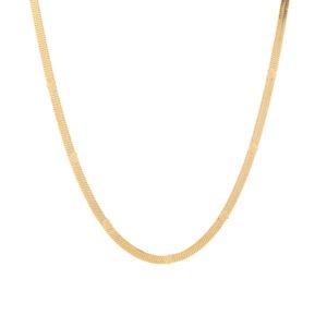 Snake ketting met hartjes