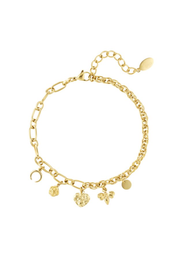 Armband verschillende schakels met bedels